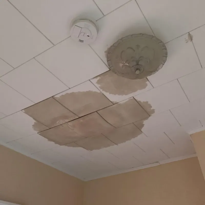 Ceiling Water Damage Repair in Broomall, PA